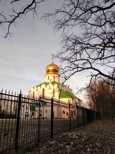 Федоровский собор за оградой