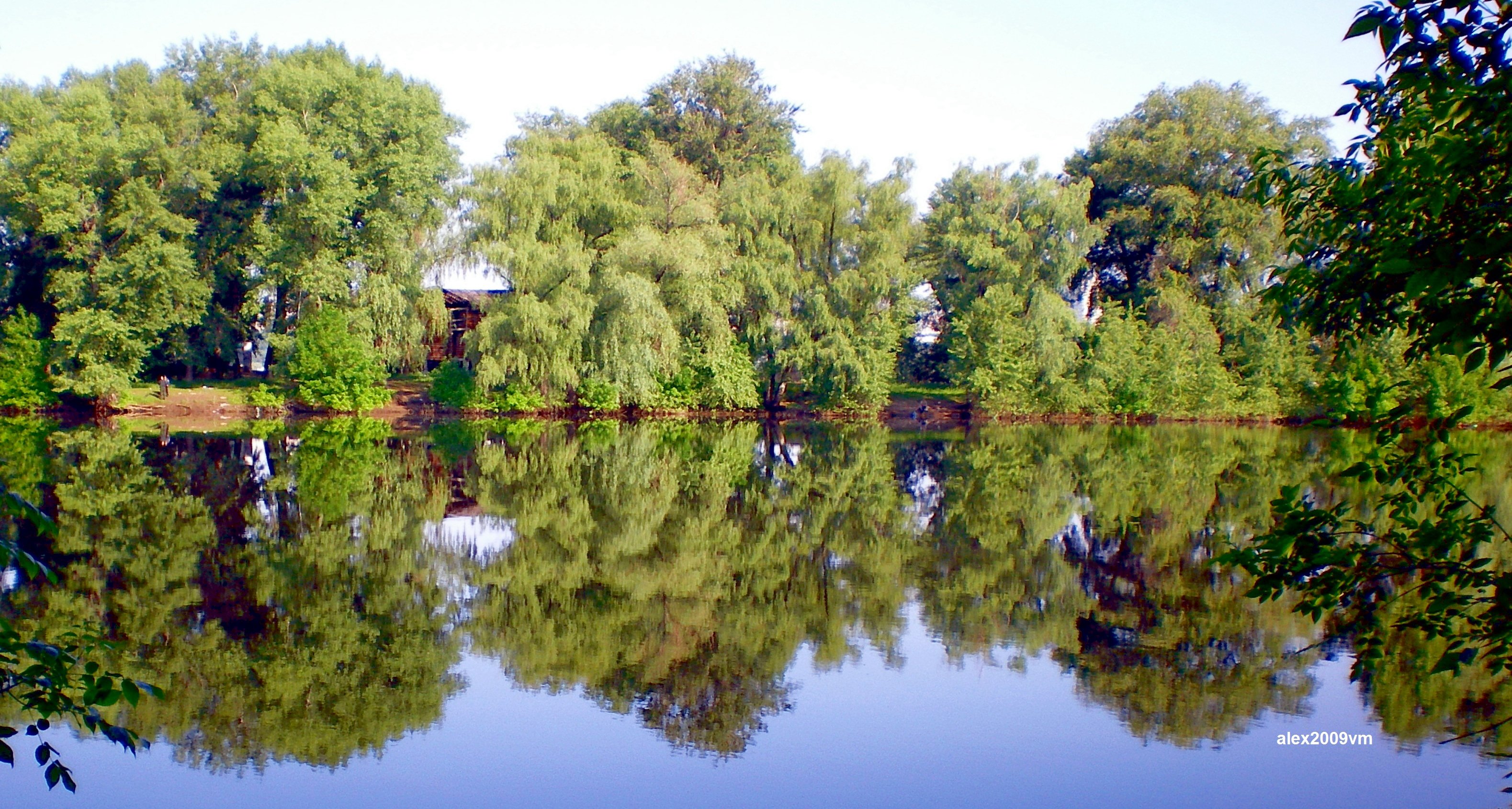 Машков парк фото