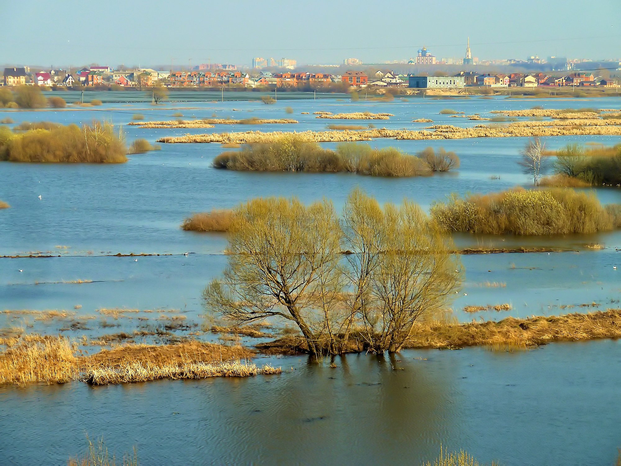Река Ока Муром разлив