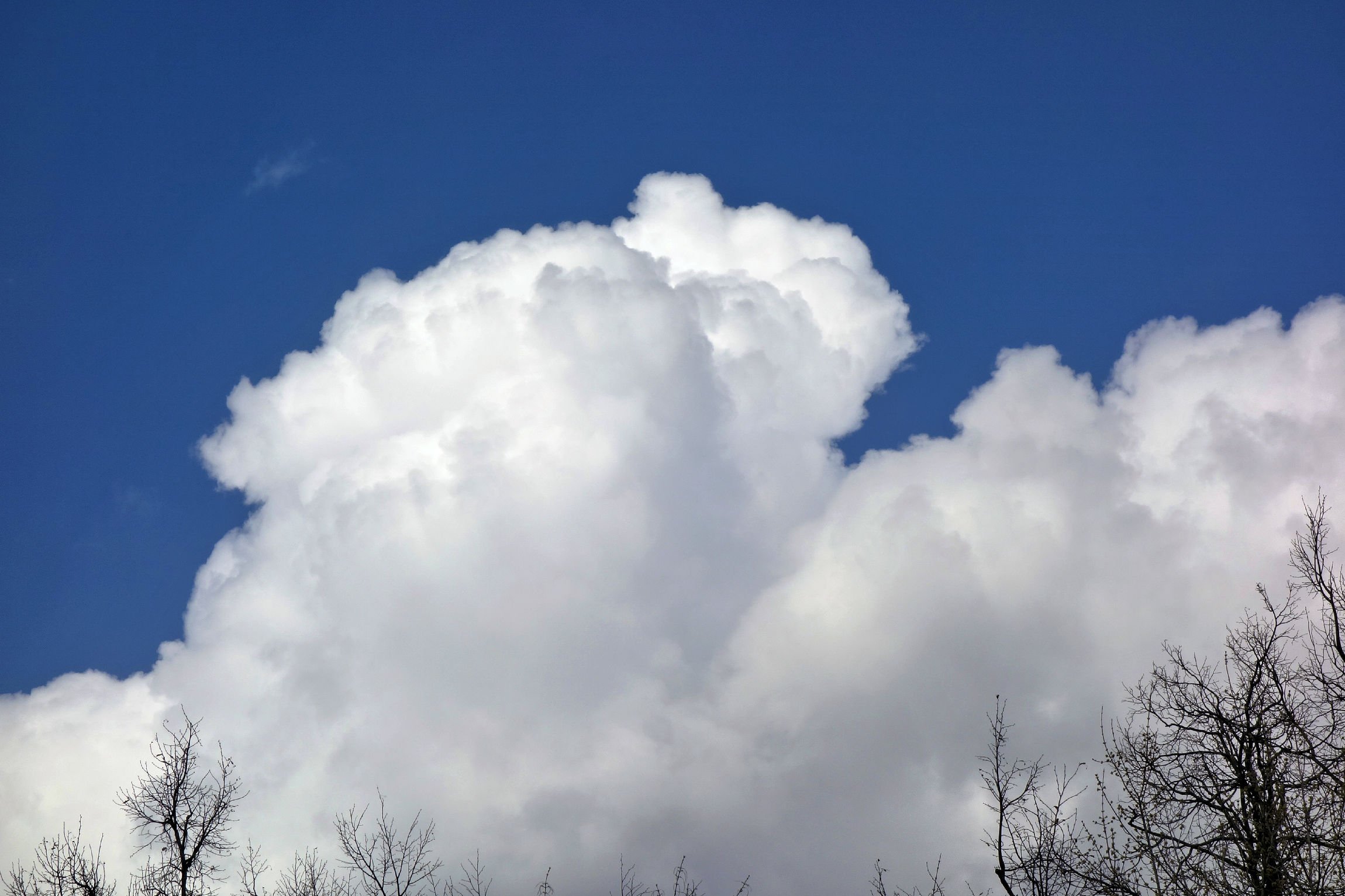Облака плывут значение. Букет из облаков. Облако в виде сердца. Сердце из облаков. Дерево пушистое облако.