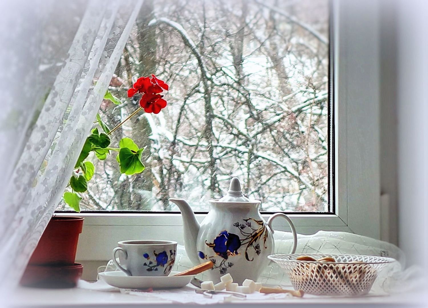 Зима цветы на окне