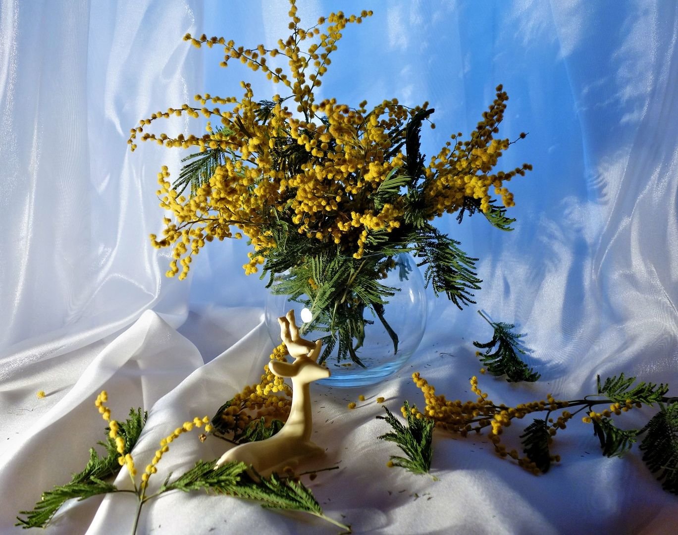 Открытки с добрым утром с мимозой. Открытки с добрым утром с мимозой. Доброе утро мимоза. Мимозы с пожеланиями. Весенний натюрморт.