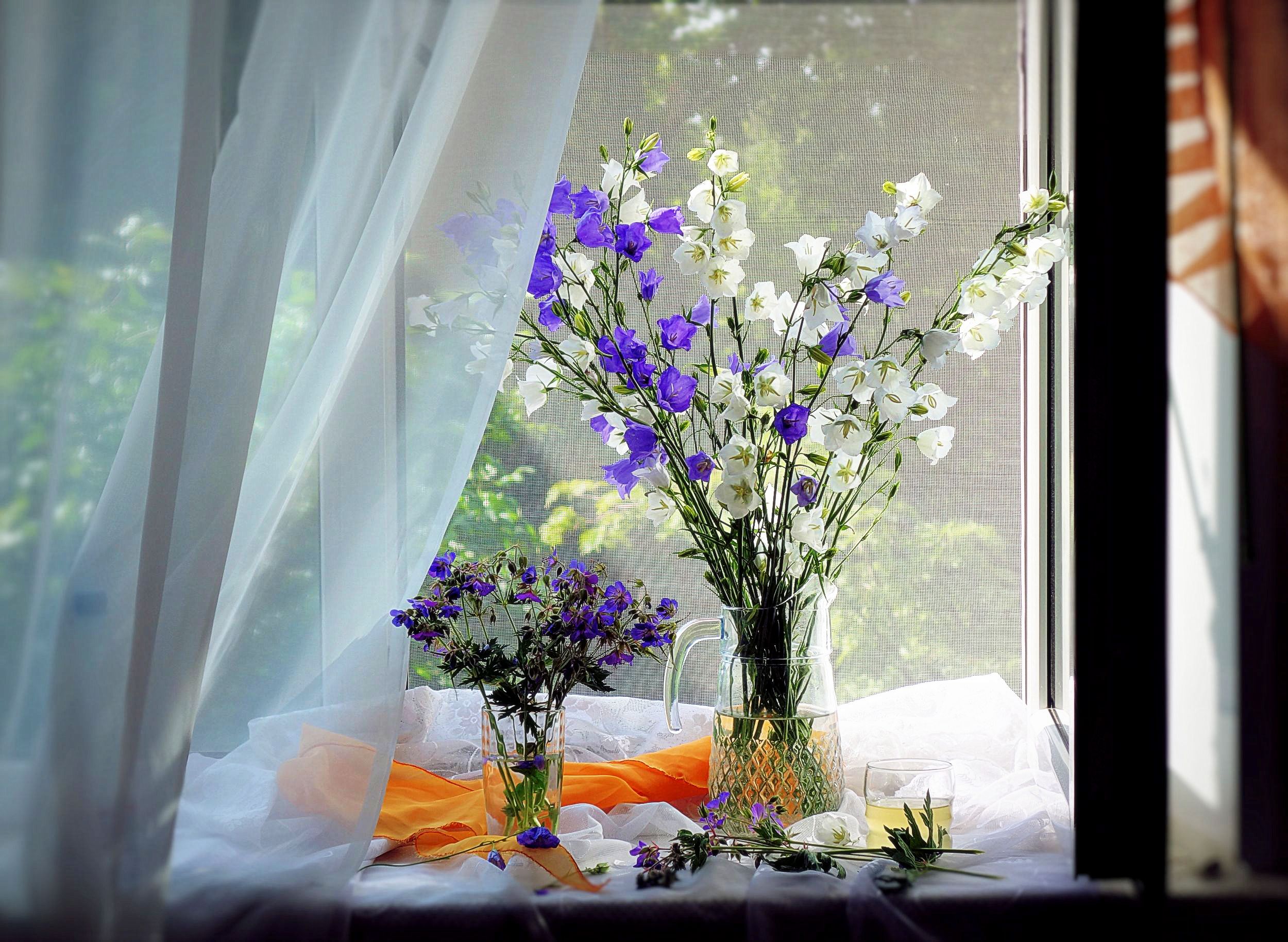 Новый день в мое окно. Цветы на окне. Полевые цветы на окне. Подоконник с цветами. Цветы в вазе на окне.