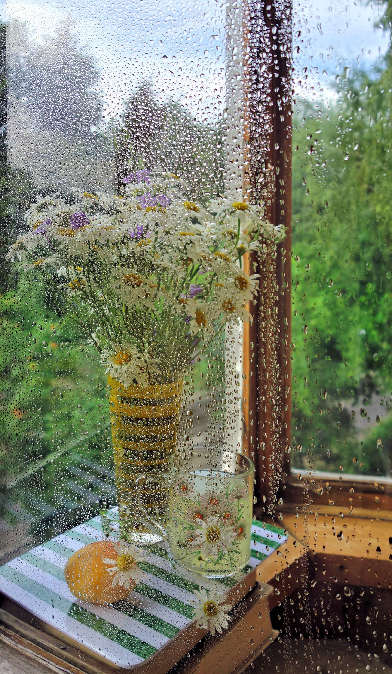 Летний дождь за окном