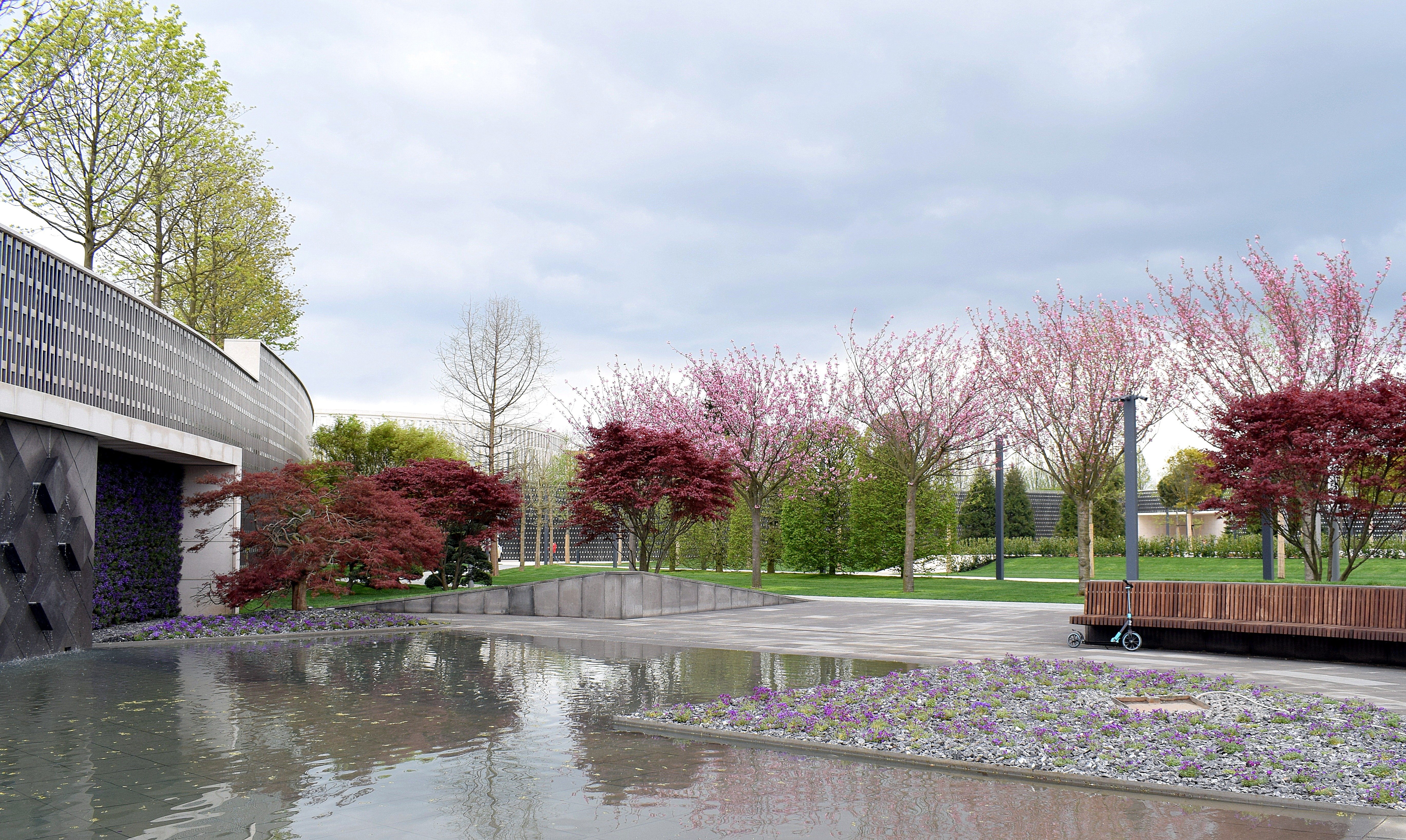 Фото Яркие краски весеннего парка на фотохостинге Fotoload весна, деревья, ...