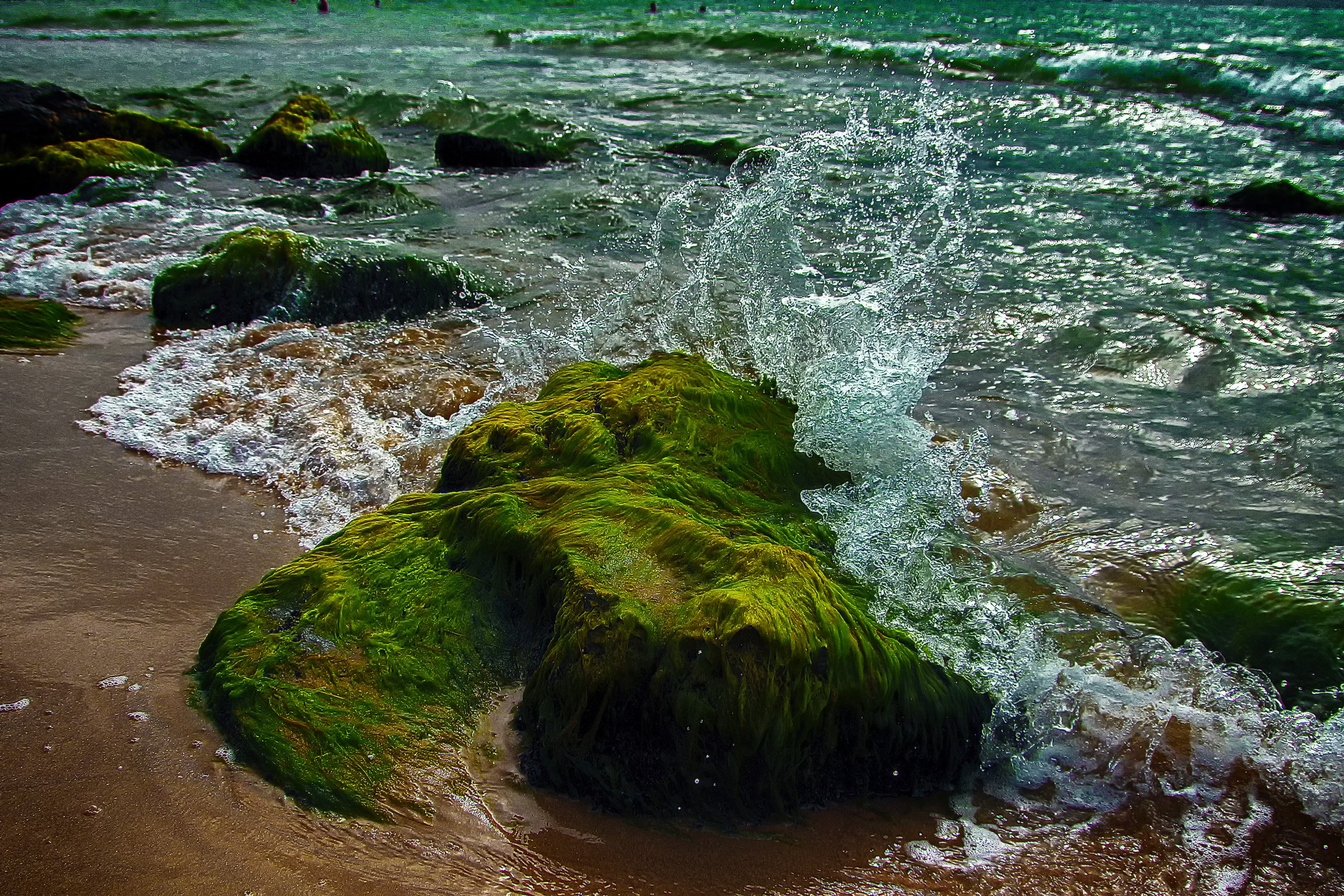 Манящее море. Морские этюды. Манила фото.