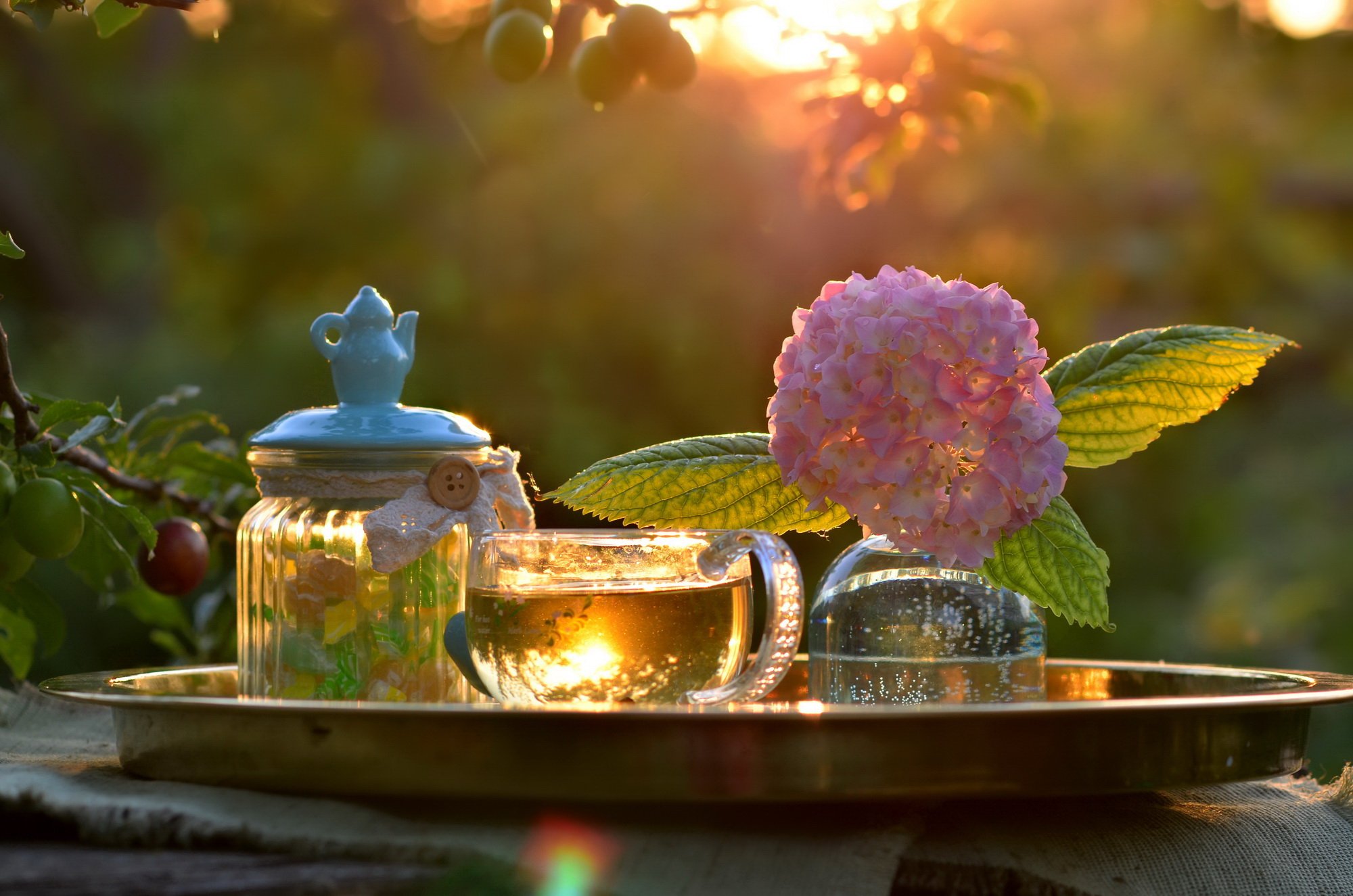 Вечерний чай в саду