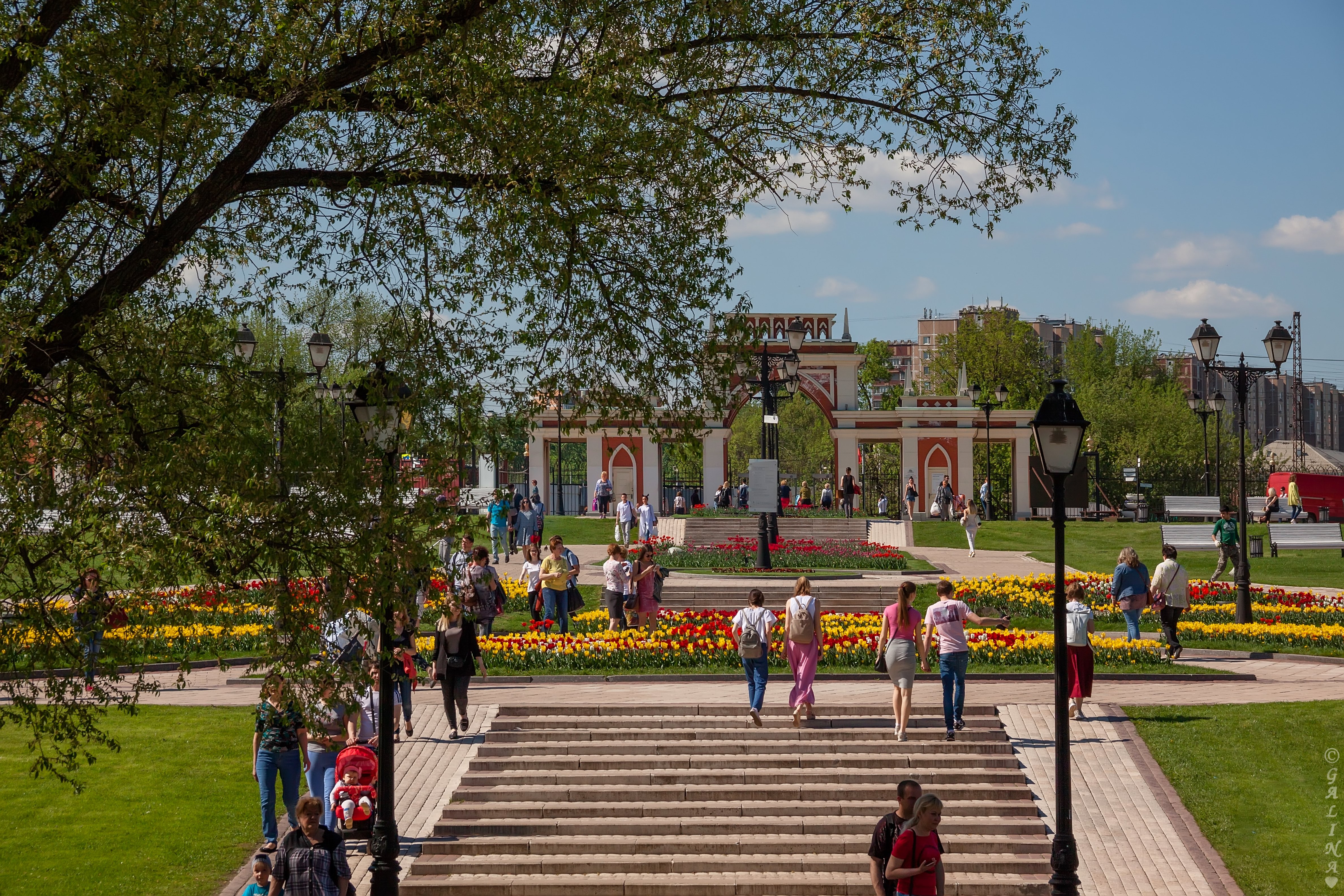 Парк царицыно в москве фото весной
