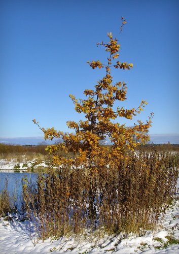 Еще в осеннем наряде