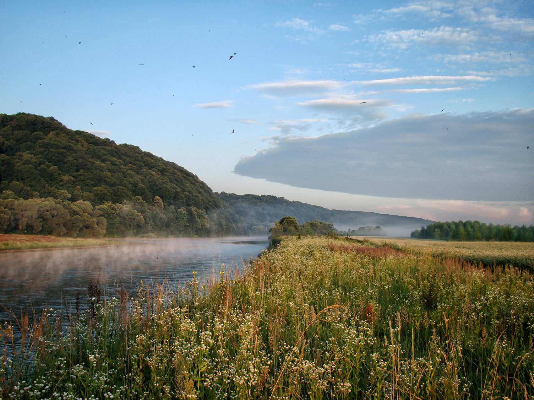 На берегах днестра