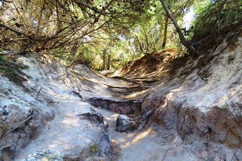 Дорожка в лесу Cala Ratjada