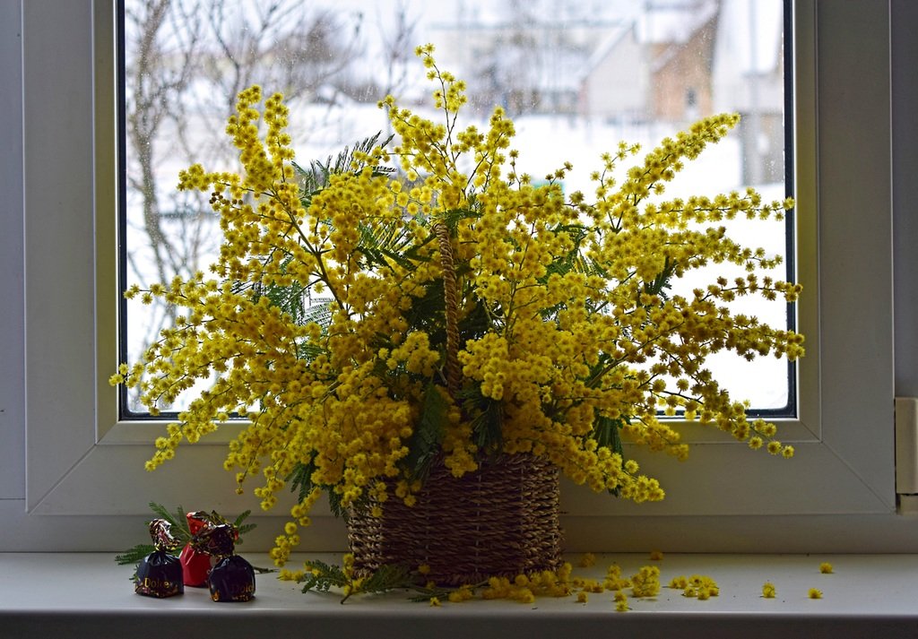 С праздником 8 Марта!