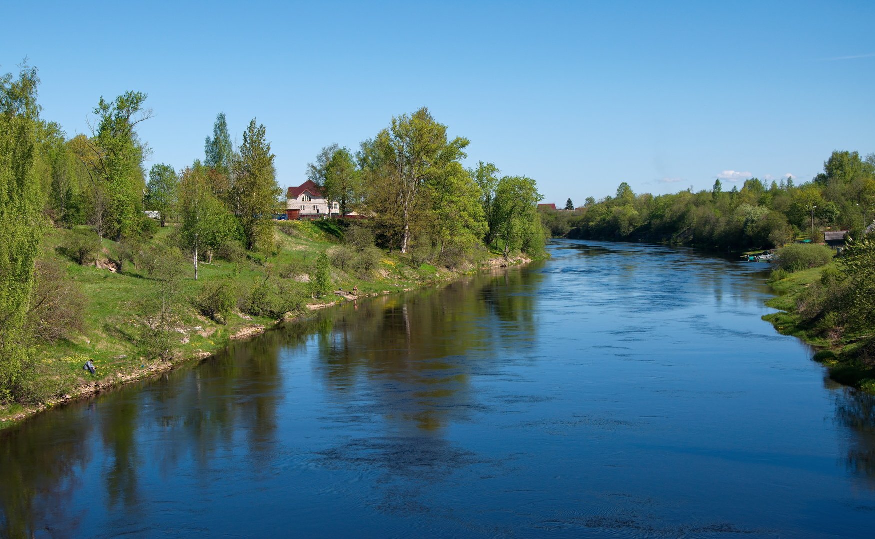 река плюсса псковская область