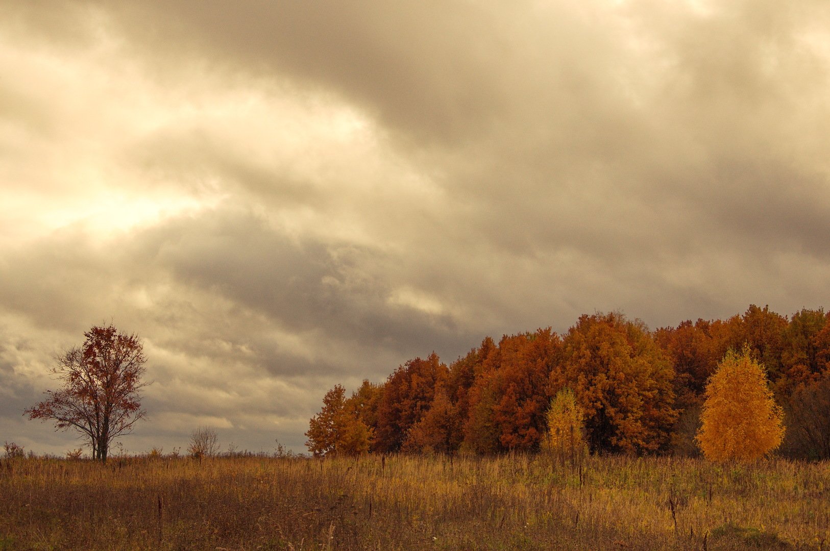 Осень хмурое небо. Осеннее небо. Хмурая осень. Осень небо. Осеннее небо фото.