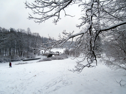 Зима в Павловском парке