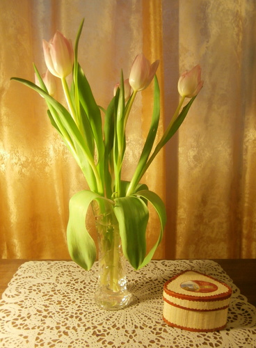 Букетик тюльпанов