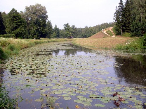 р. Славянка