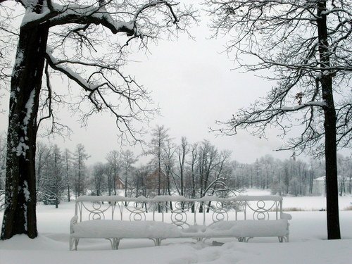Самая снежная зима - 2011 г.
