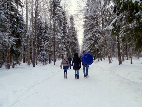 По пушистому снегу...