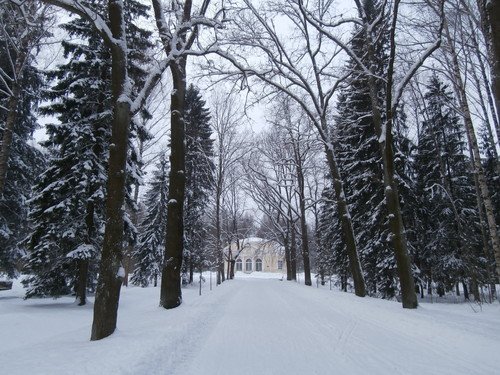 Аллея Павловского парка