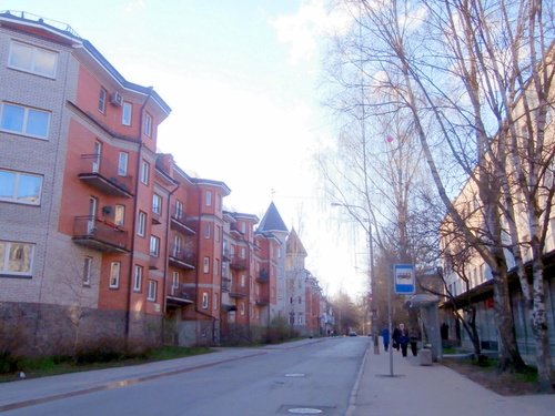 Улицы Павловска