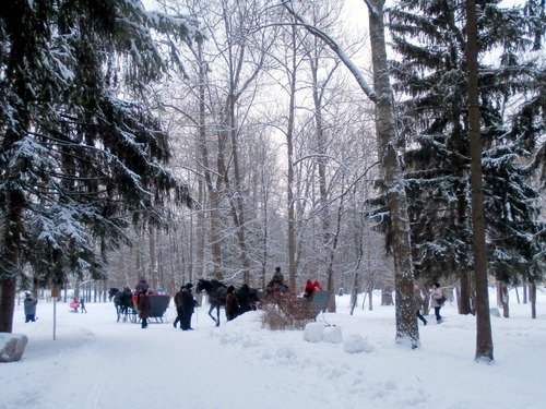 Катание в Александровском парке