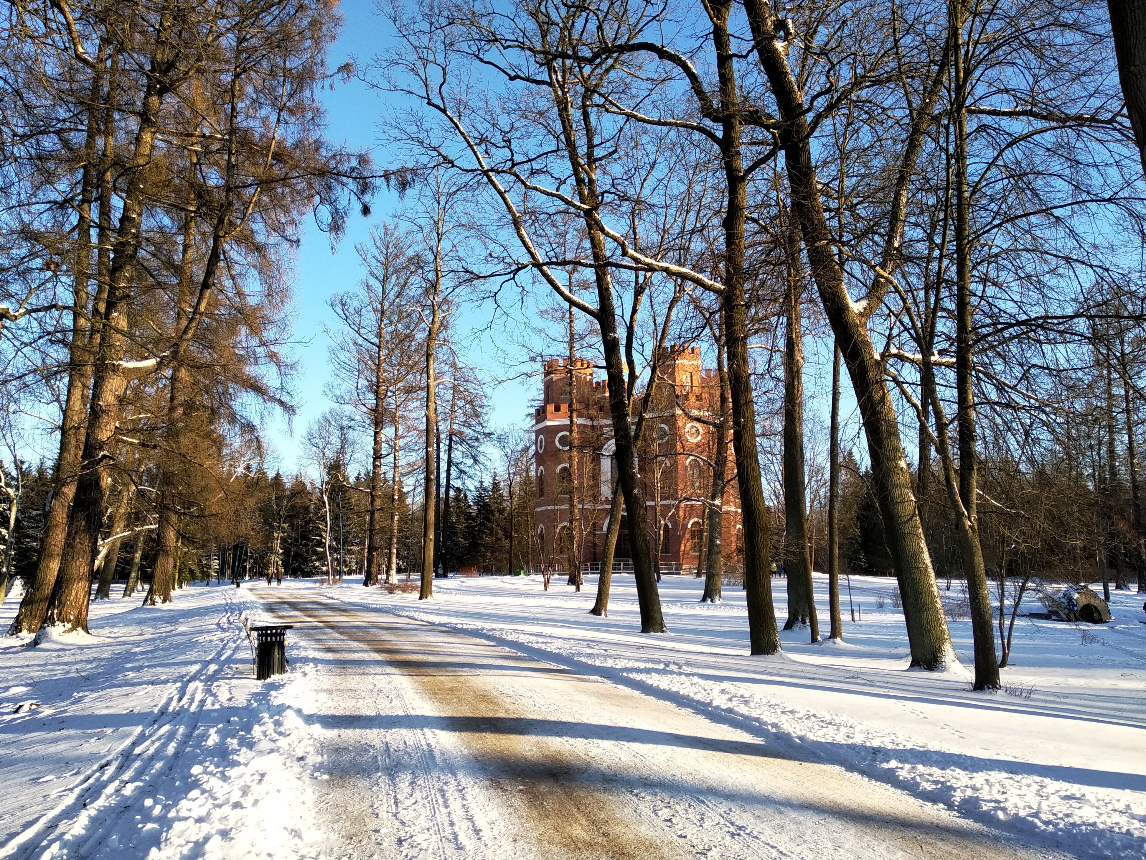 солнечный зимний день москва