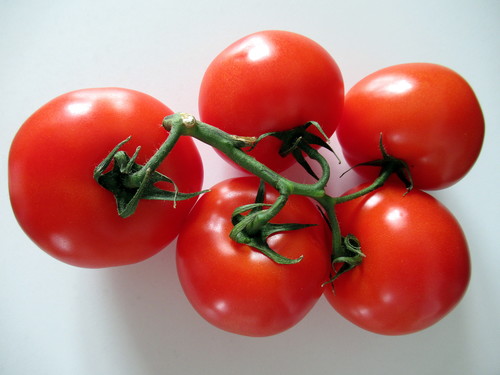 Томаты, или помидоры