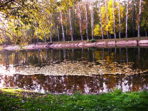 Осень с отражением