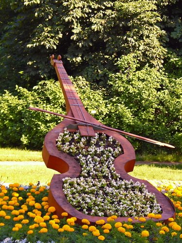 Цветочная виолончель