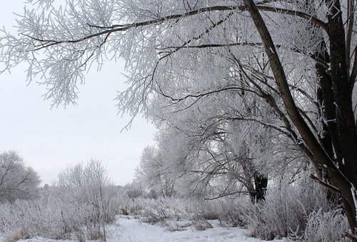 зимняя сказка