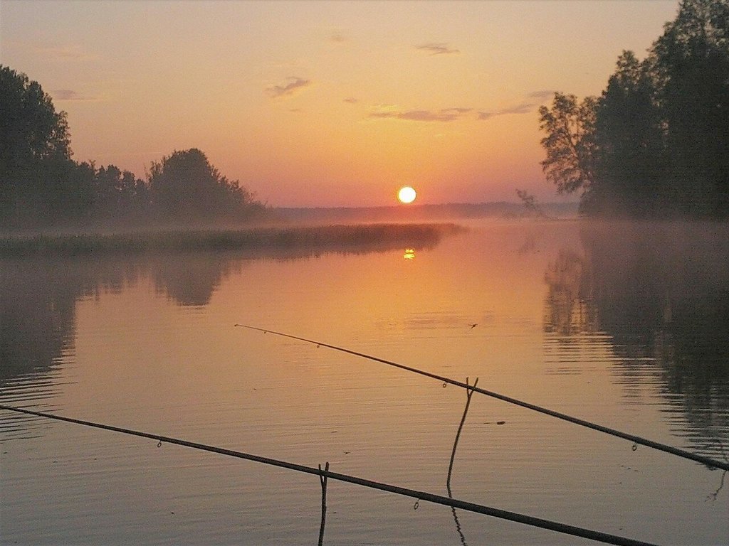 Форелевый пруд Лесное озеро