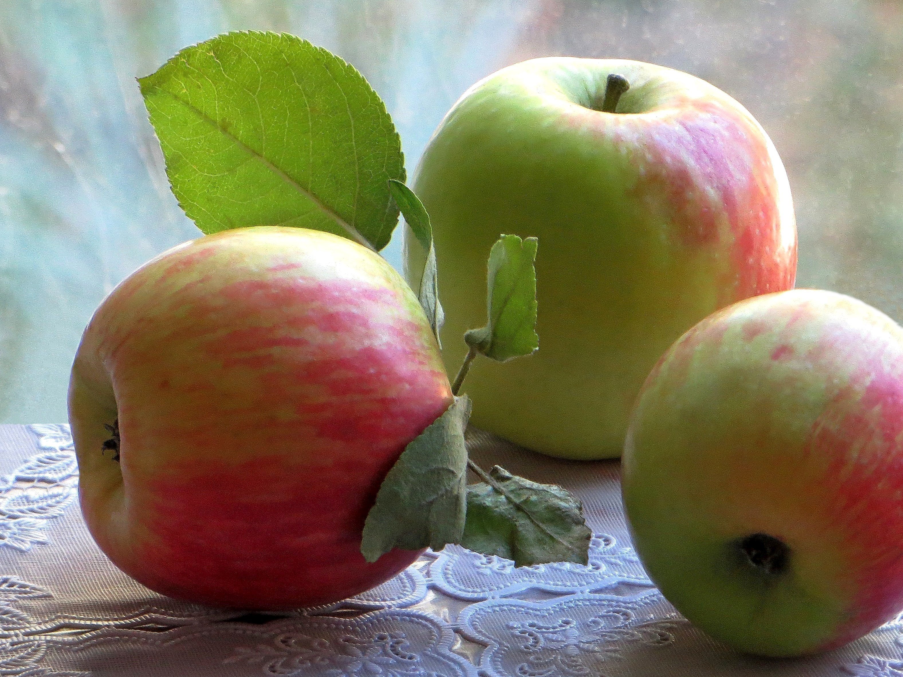 Яблоко. Яблоки. Спелые яблоки. Натюрморт с яблоками. Вкусное яблоко.