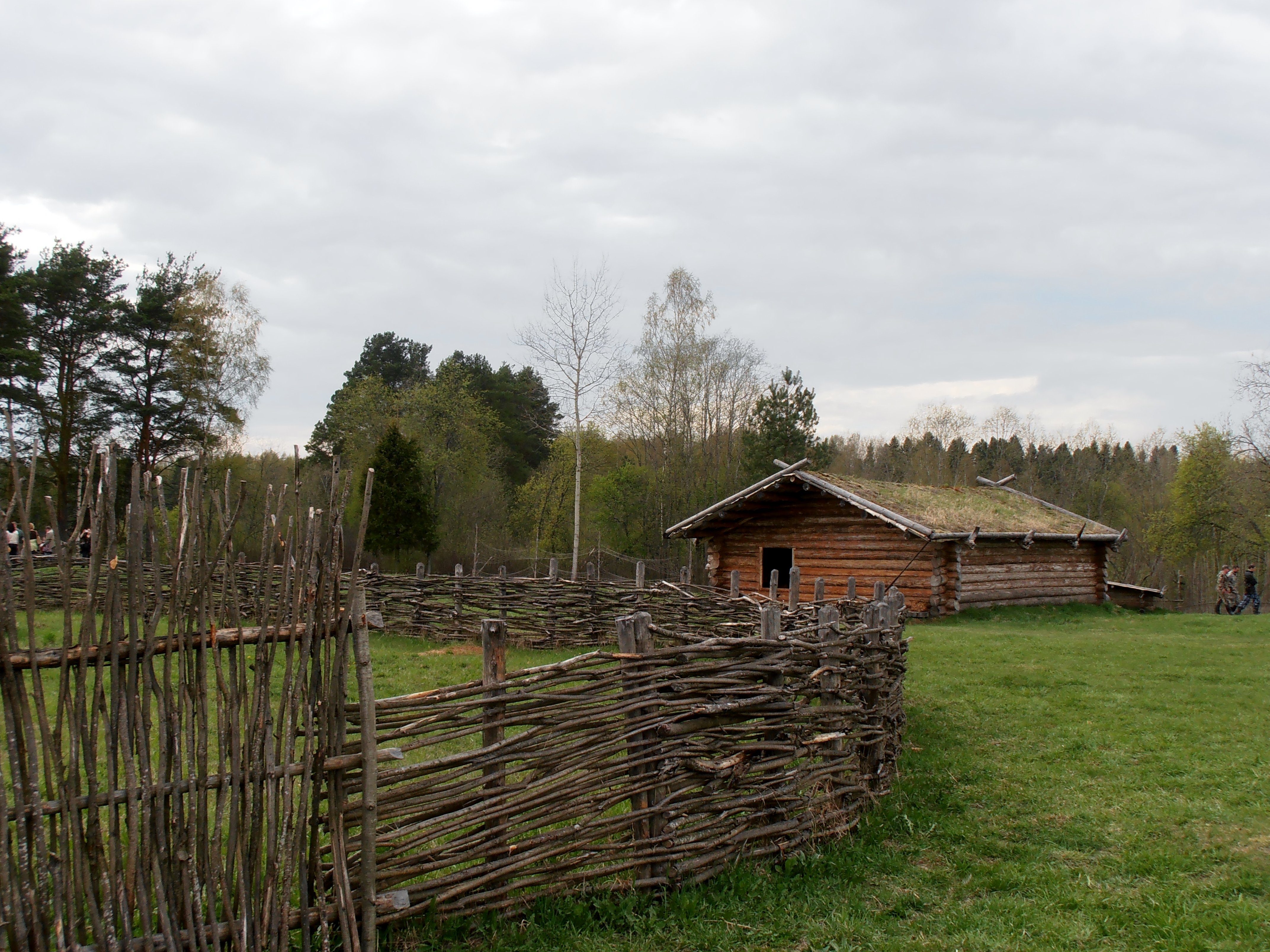 Фото любытино хутор