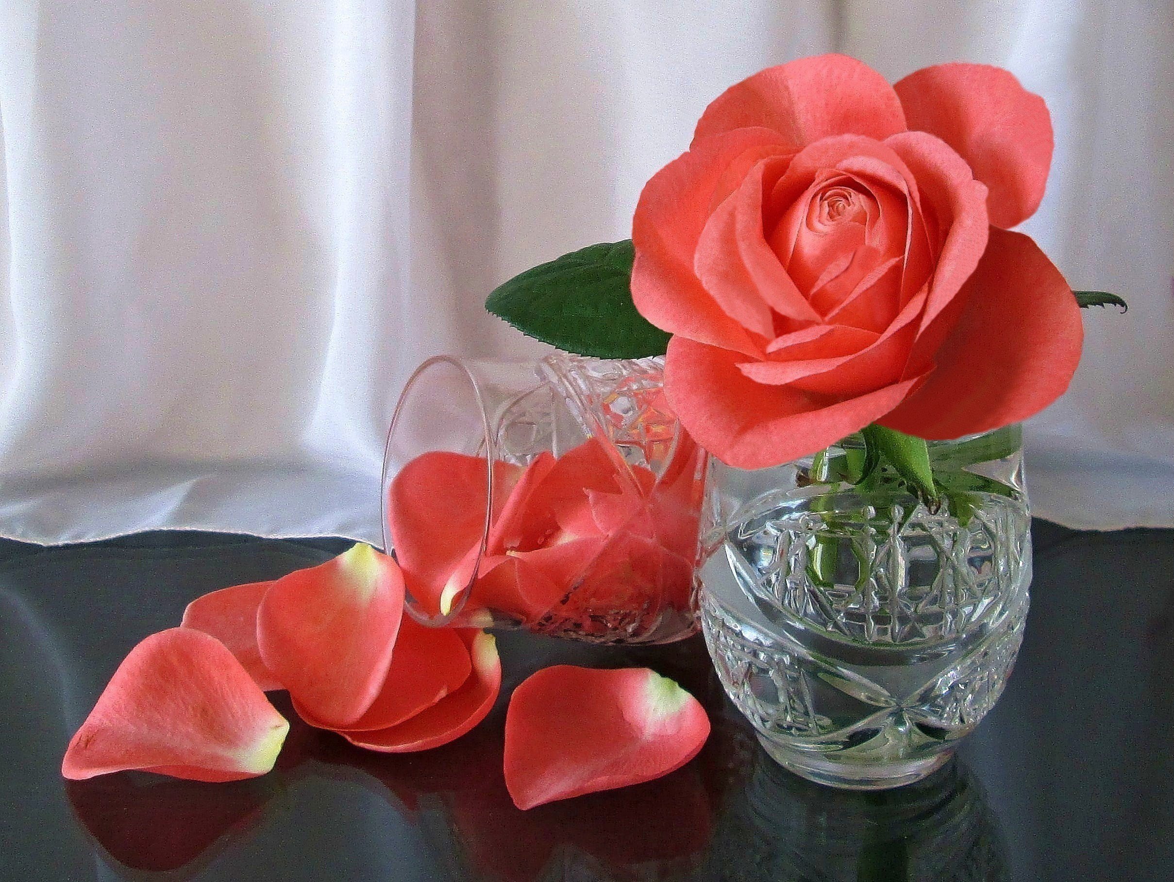 Добрый день картинки с розами. Цветы в хрустальной вазе. Розы в вазе. Красивые розы в вазе. Розы в хрустальной вазе.