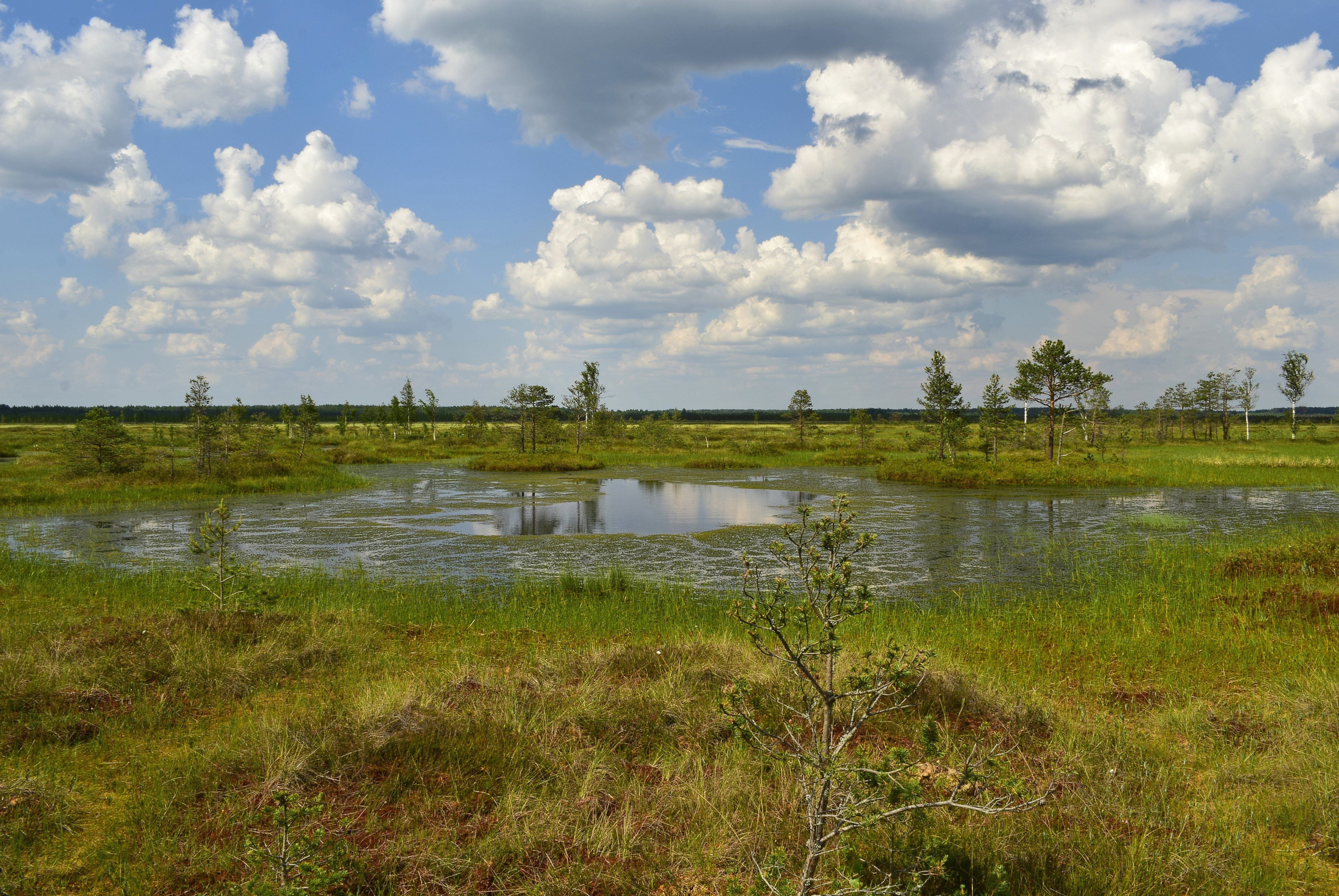 Тахтинское болото России