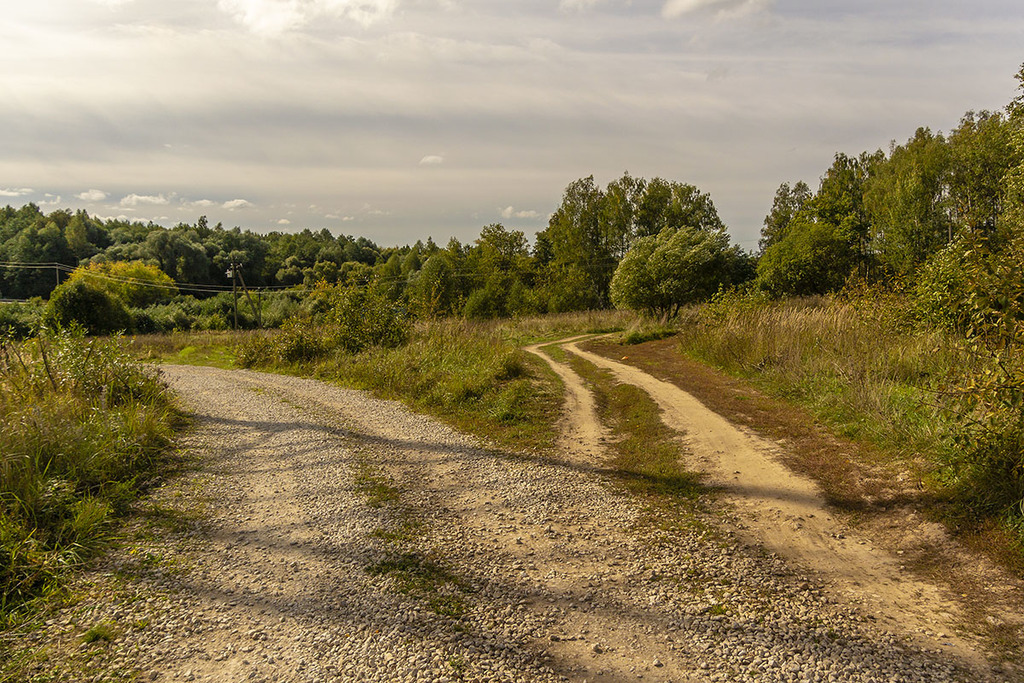 Фото два пути