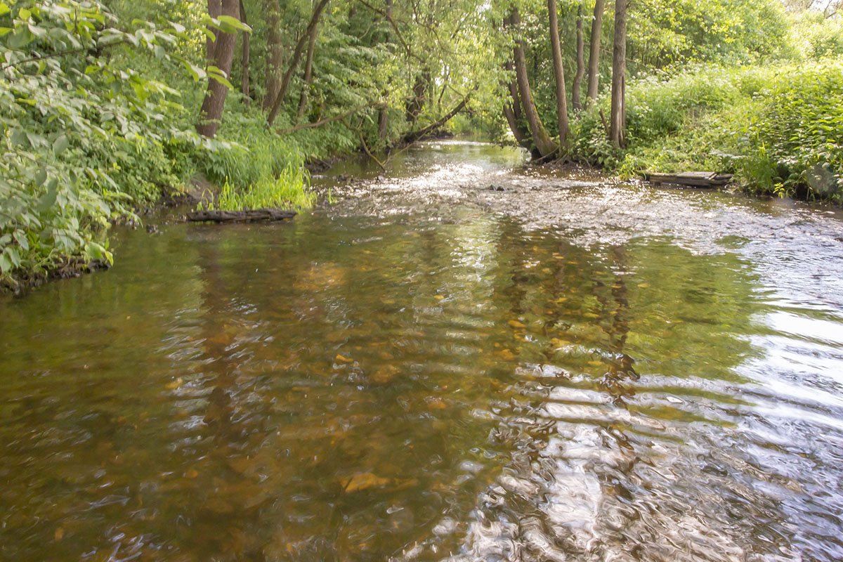 Река Иреек Борисовский