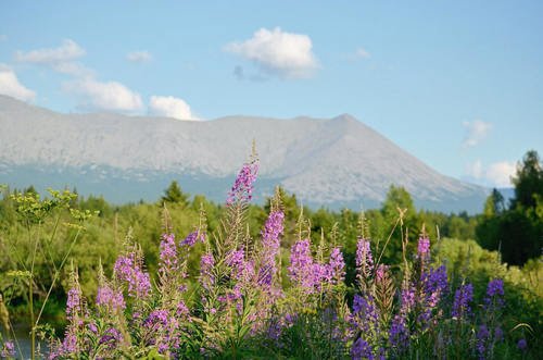 Тулымский камень