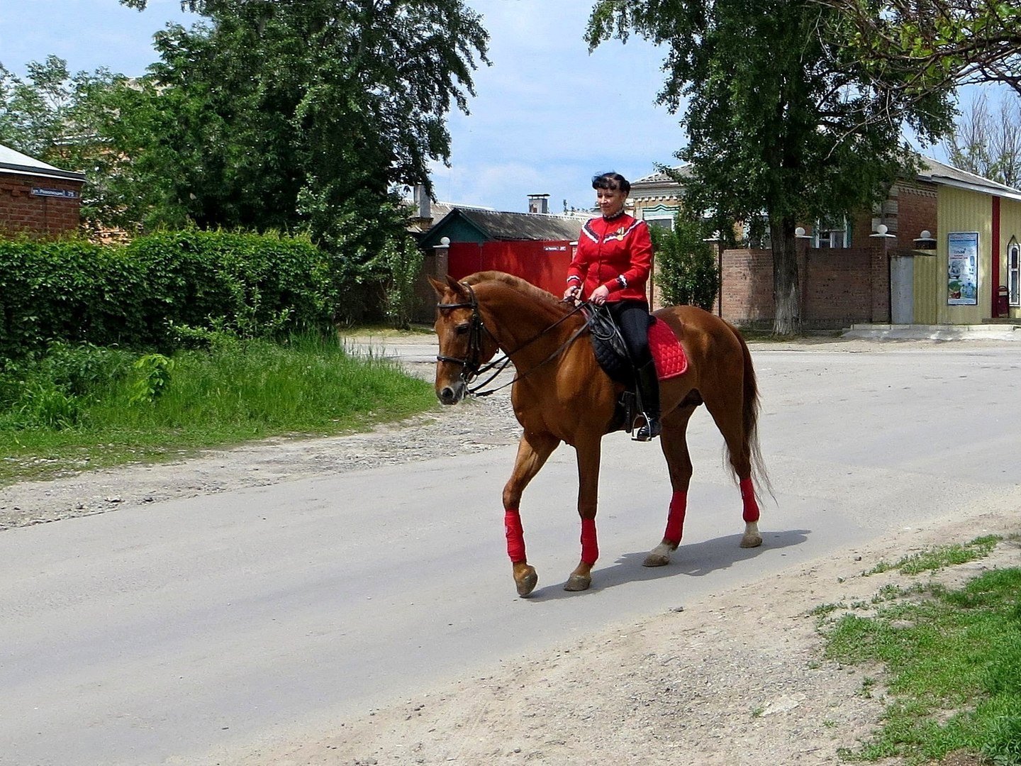 Ваше фото донской