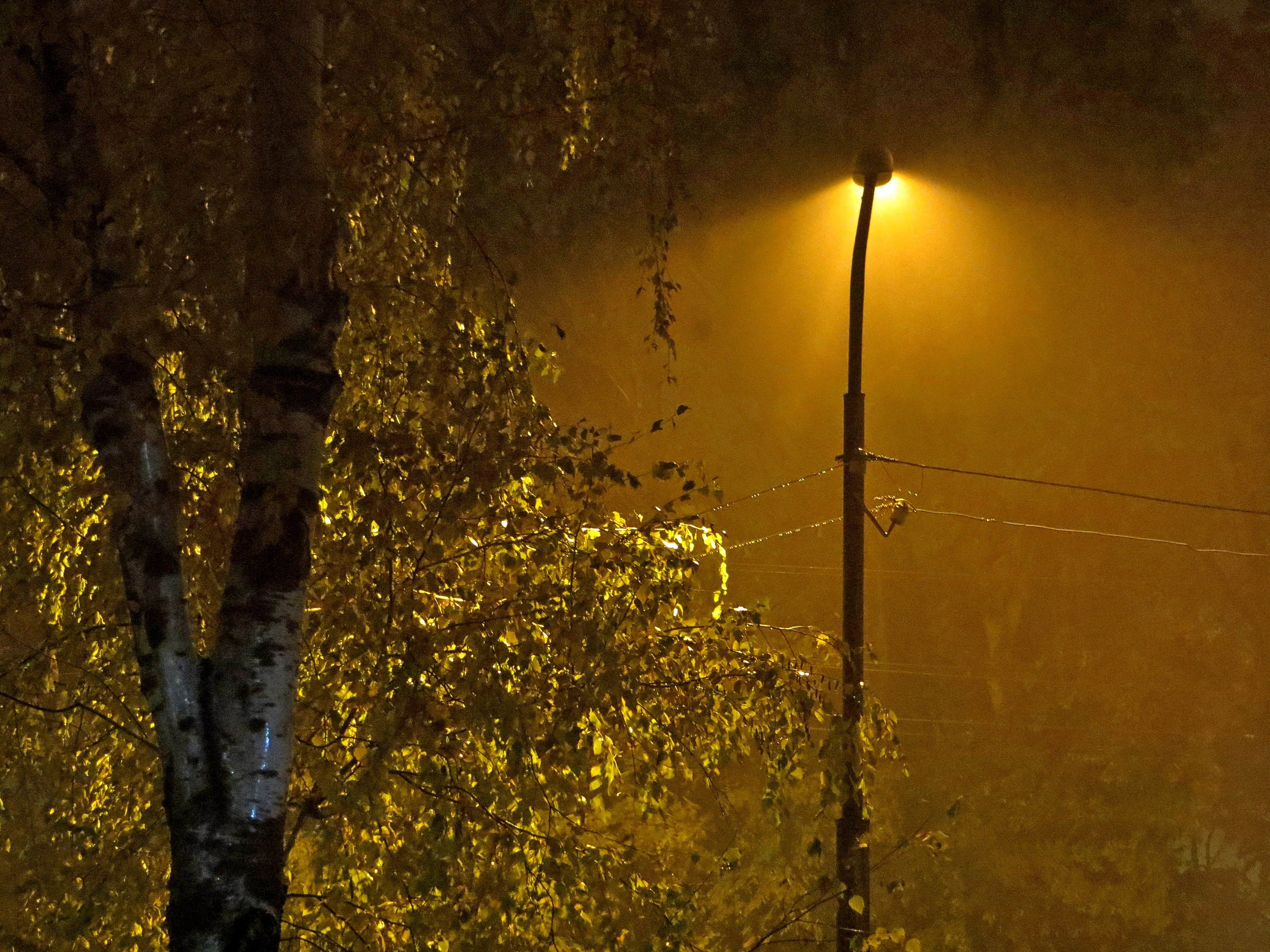 Вечер свет фонаря. Фонарь ночью. Осень ночь. "Дождливый вечер". Дождливая ночь.