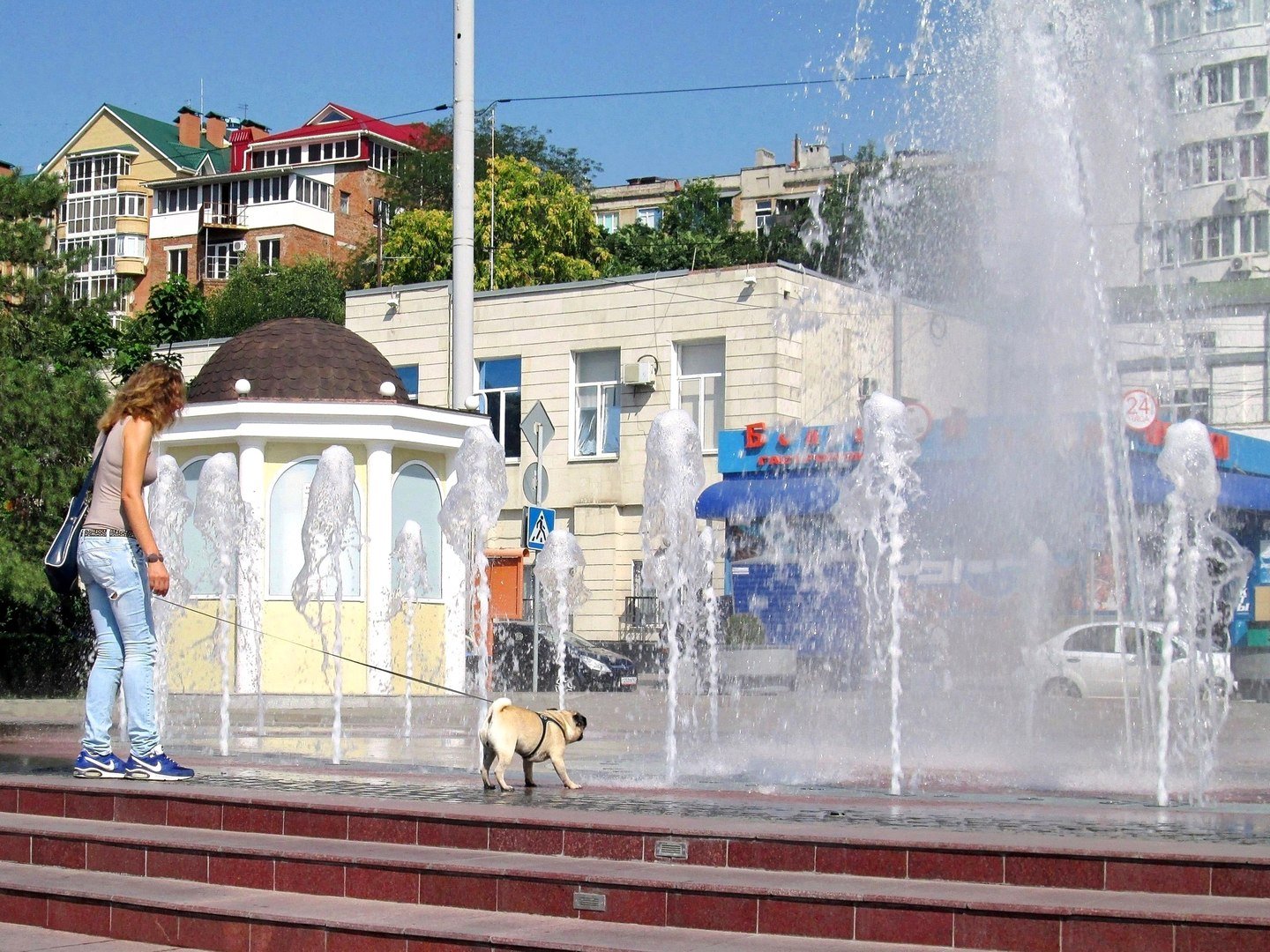 Петровский фонтан Ростов