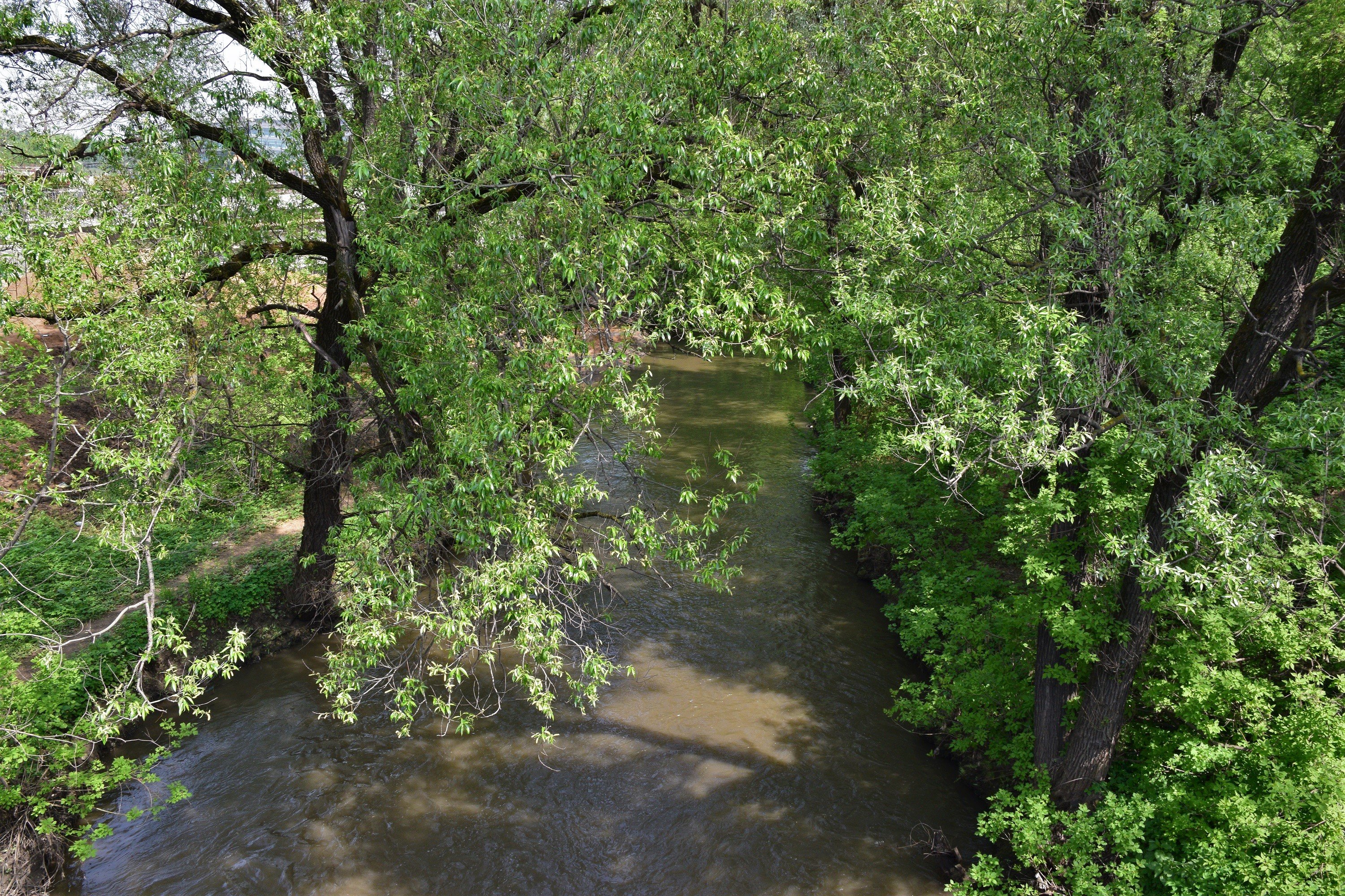 Сетунь одинцово. Сетунь рыба. Станция мцд сетунь. Стадион сетунь. Станция сетунь.