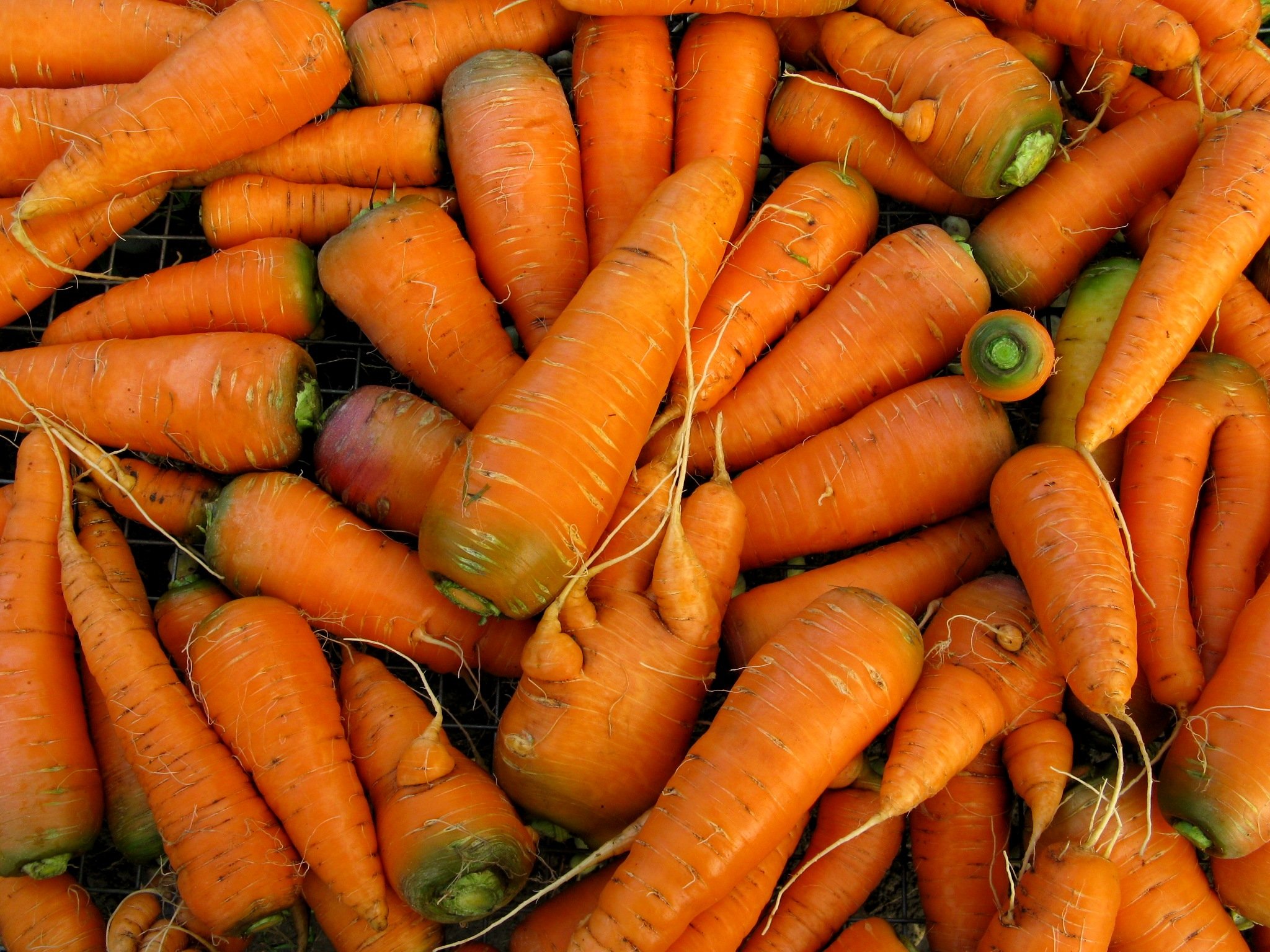 К чему снится крупная морковь