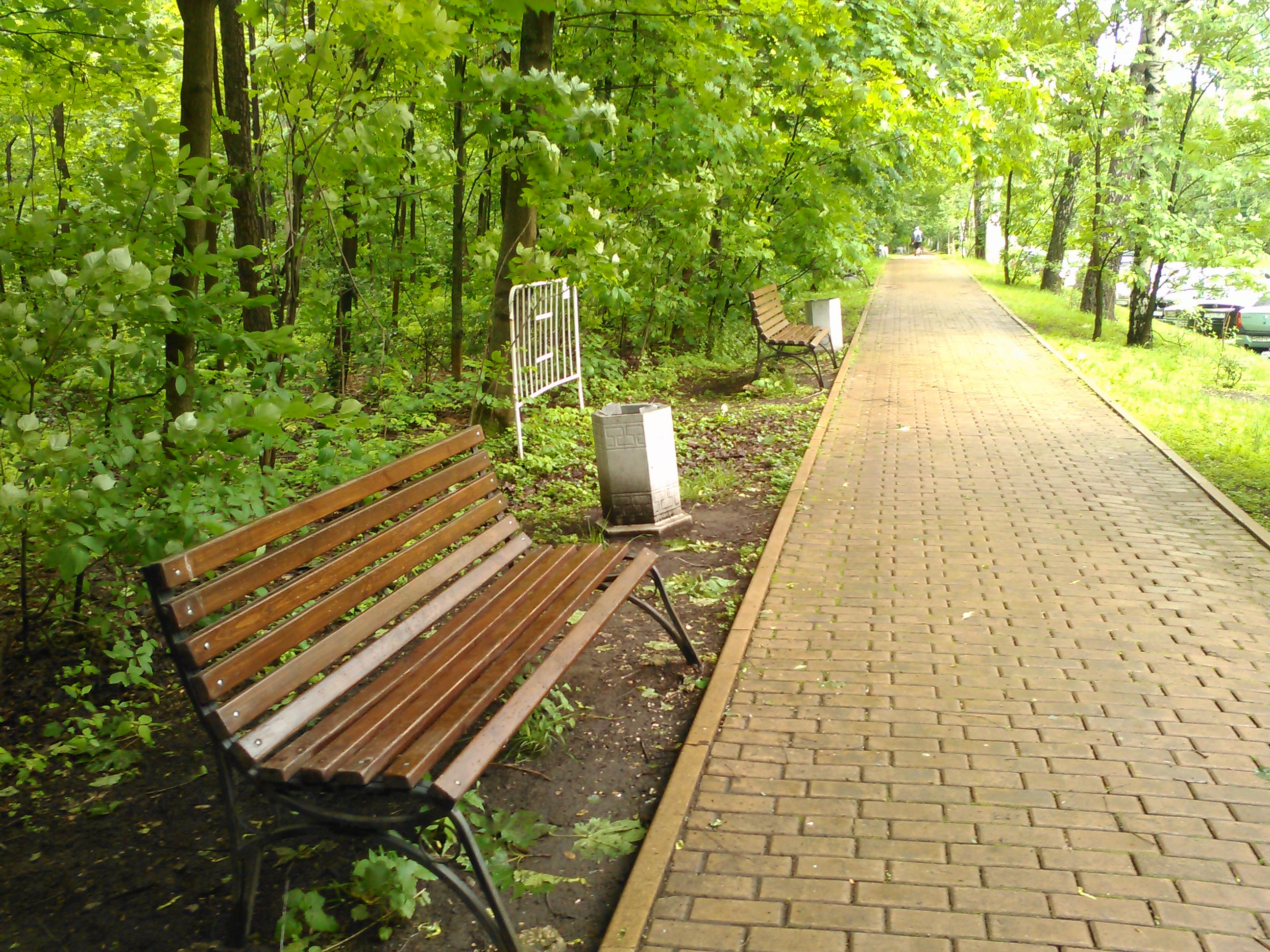 Разрешено ли использовать скамейки. Парк Сокольники лавочки. Летний парк с лавочкой. Лавочки для тротуаров. Сокольники скамейки.