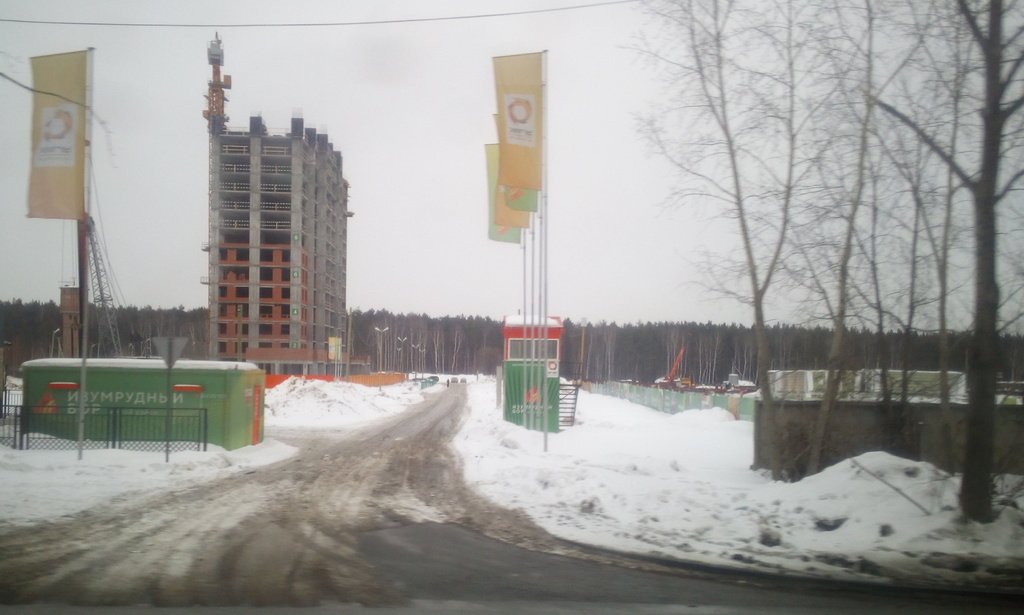 Изумрудный бор карта