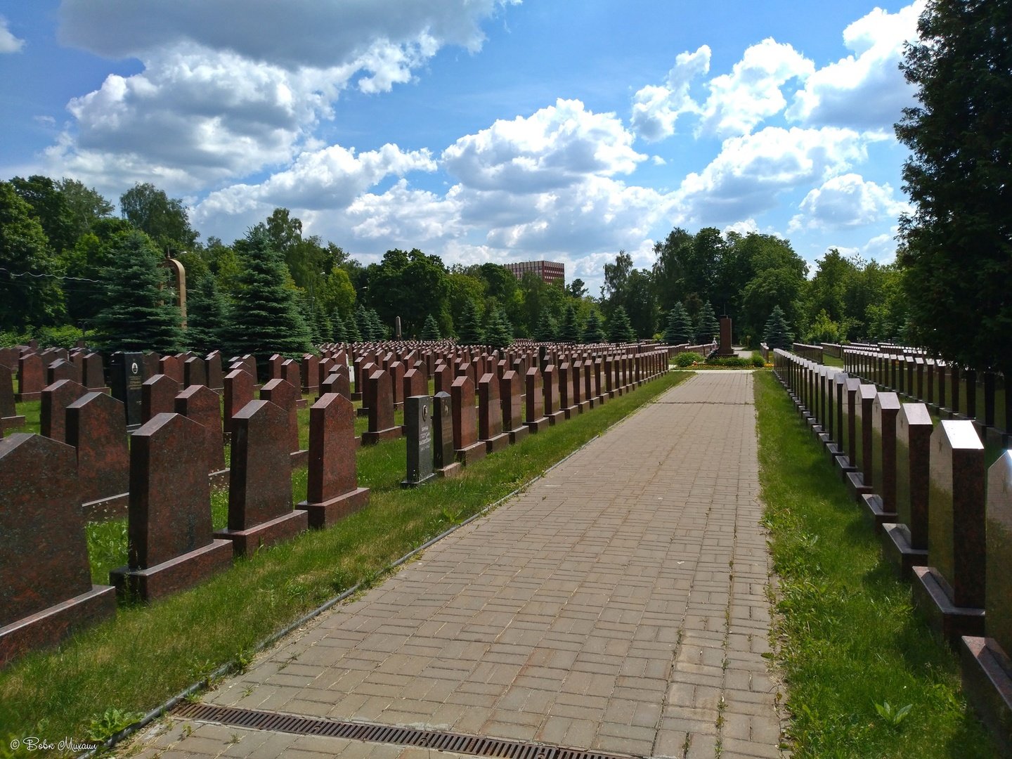 Военное кладбище в мытищах фото