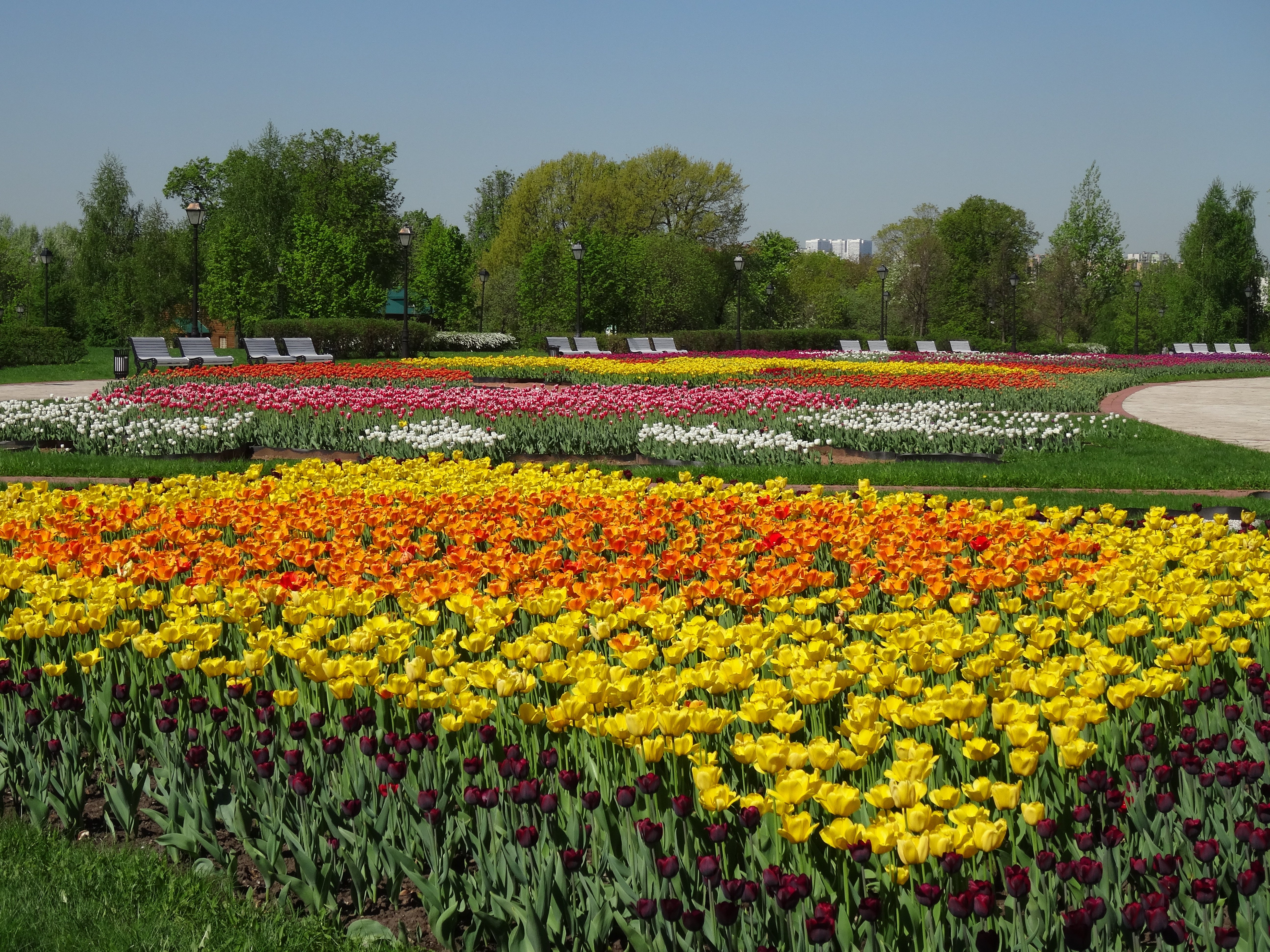 Парк Царицыно цветы