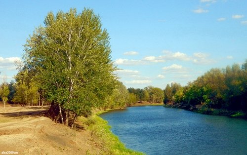 Август - лету венец