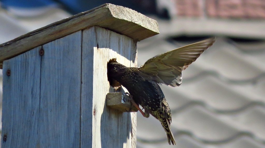 Тема :"Пересечения"